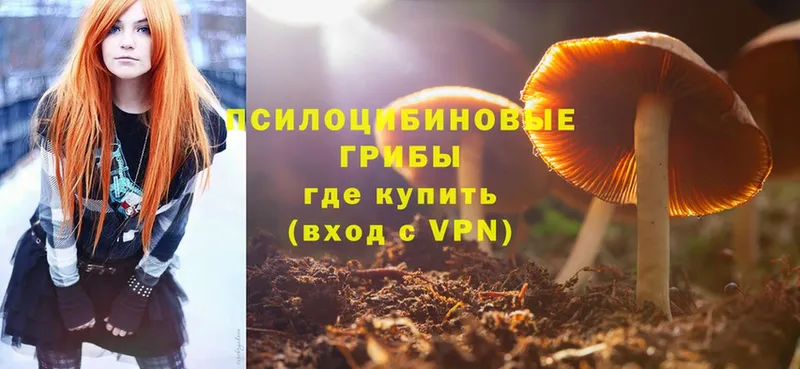 Псилоцибиновые грибы Magic Shrooms  Волжск 